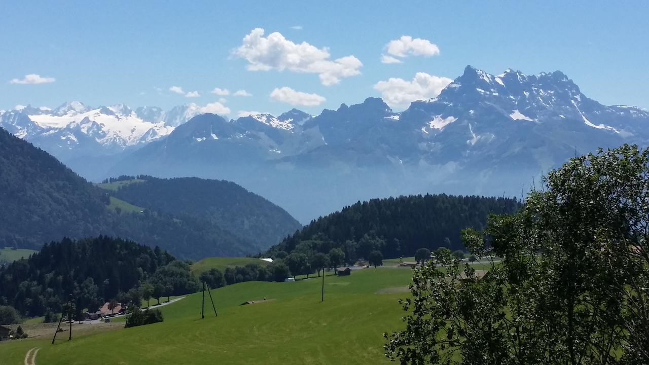 Winterfell Vila Leysin Exterior foto