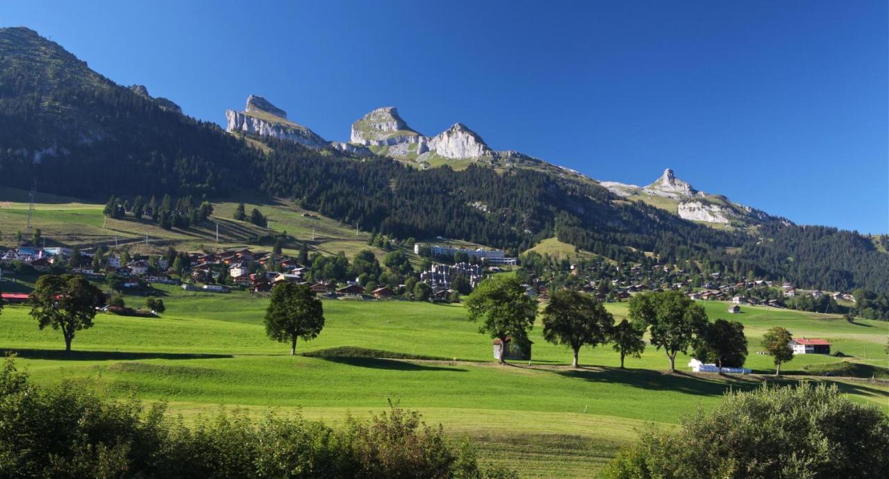 Winterfell Vila Leysin Exterior foto